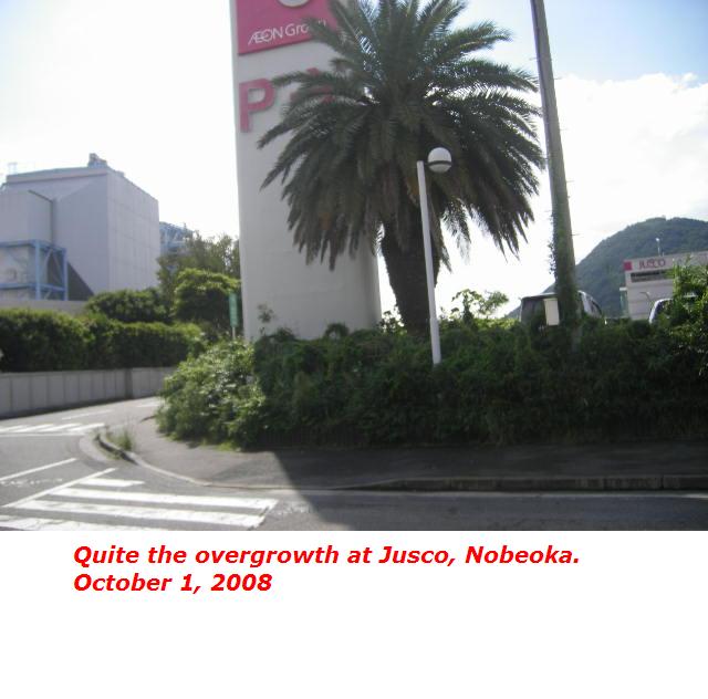 jusco-nobeoka-overgrowth.jpg